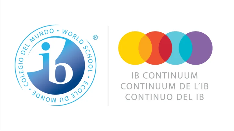 IB-Continuum