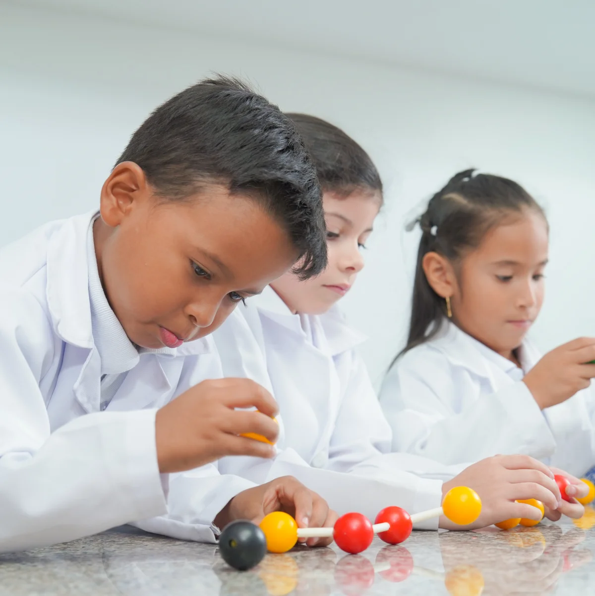 Básica Elemental y Media